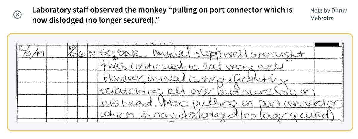 Elon Musk Monkey Murder + Millions of Leaked Crime Predictions