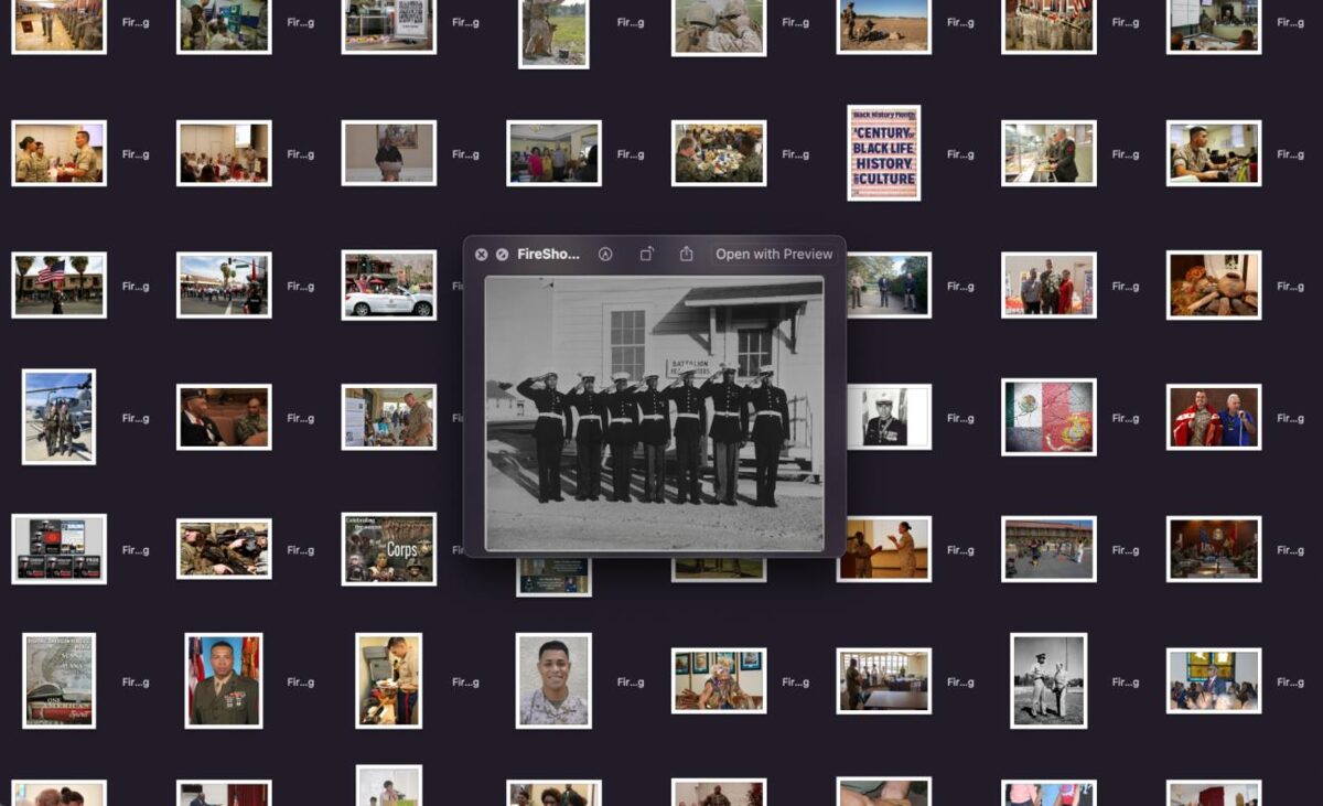 Recently Purged Images