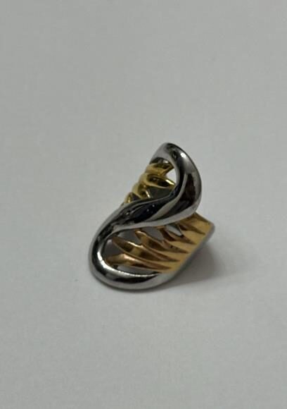 Ring Bling Dataset