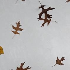 Surfaces